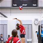 how to bet on volleyball